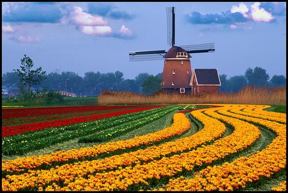 Holland Waterway cruise, Tulip time cruise